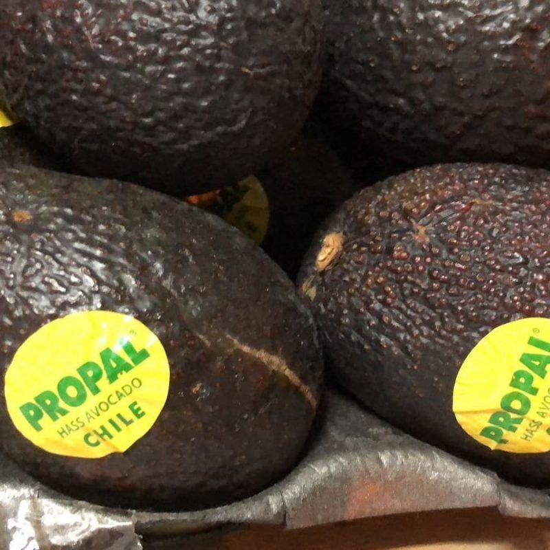 行内人教你5个方法挑选牛油果，还有减肥食谱大公开