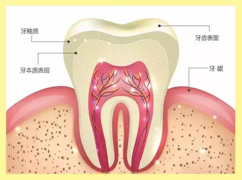 牙黄还不整齐，再美张嘴也输了你知道吗？