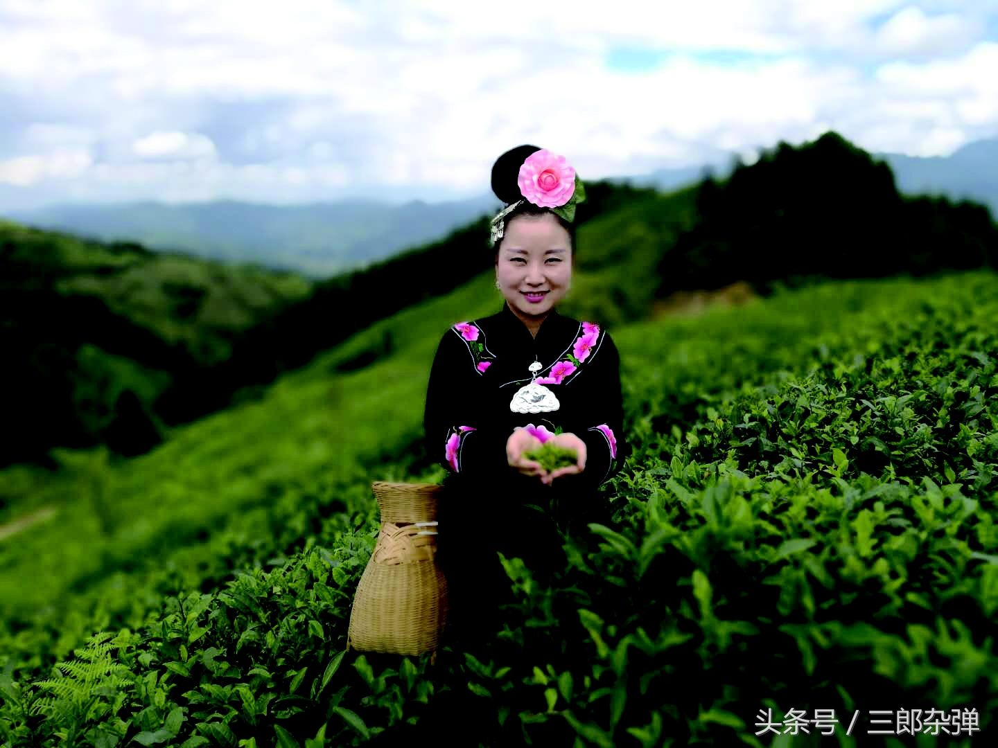 贵州雷山县大山图,贵州茶山高清地图