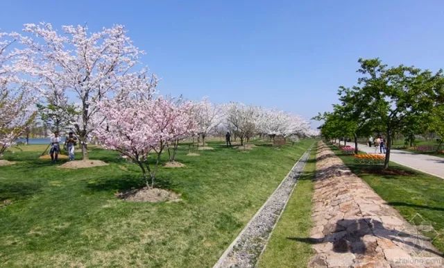 上海美食旅游攻略必去景点,江浙皖沪旅游景点推荐自驾游