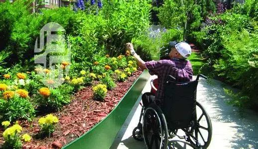 改善情绪、减轻疼痛，不妨试试园艺疗法！