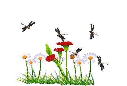 改善情绪、减轻疼痛，不妨试试园艺疗法！