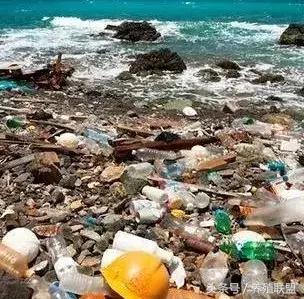 是时候揭开人造皮草的真面目了