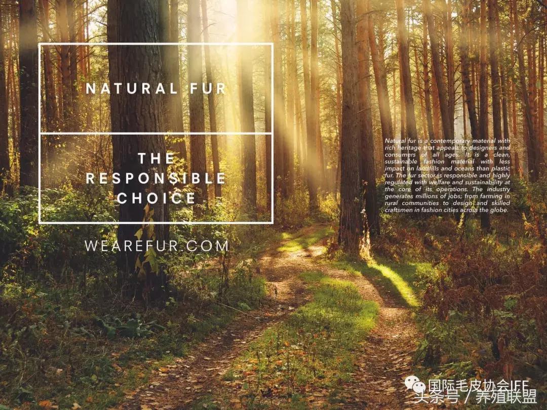 是时候揭开人造皮草的真面目了
