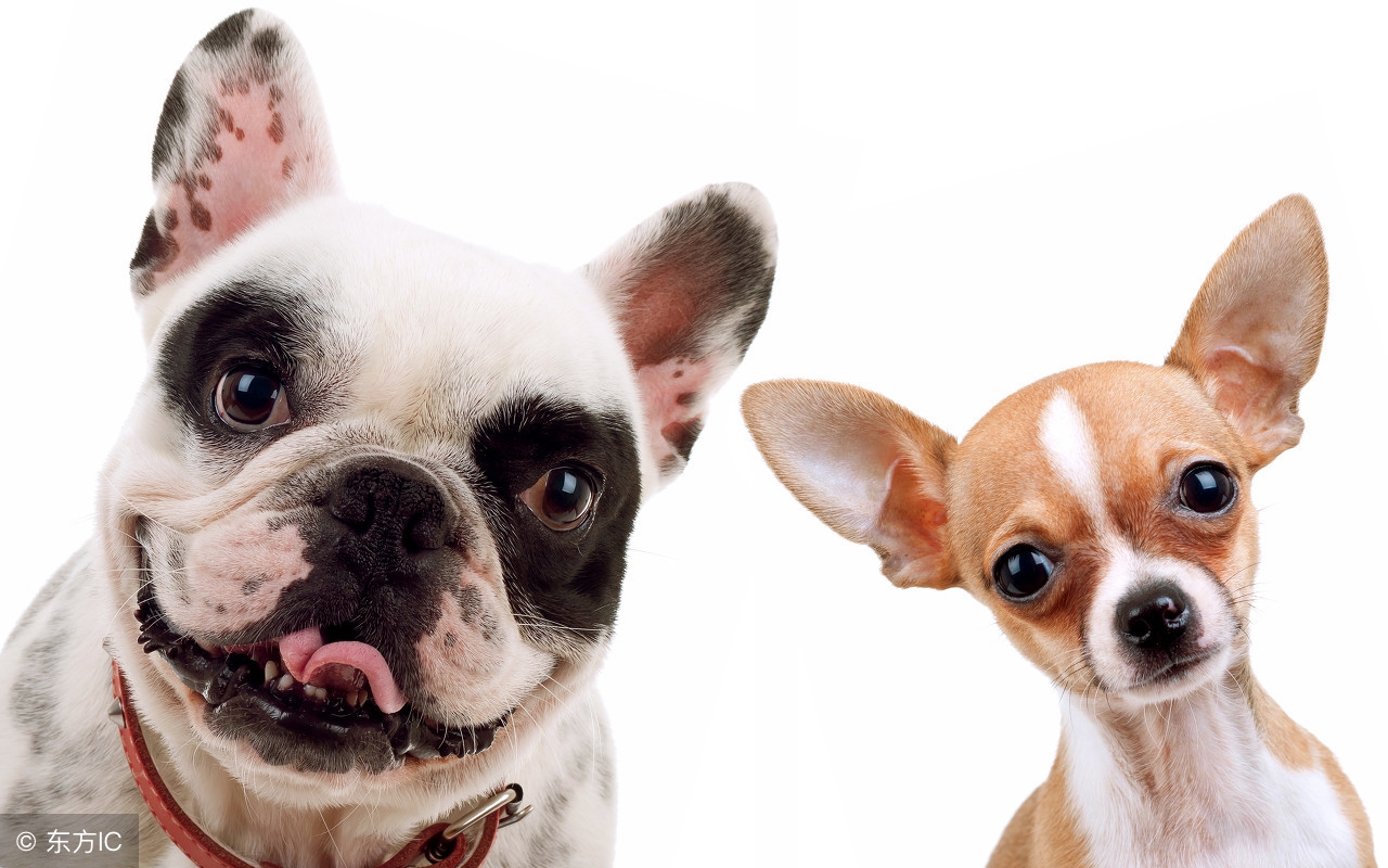 本命年总觉得诸事不顺怎么办,今年本命年老是不顺怎么回事