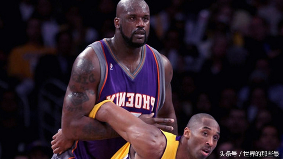 奥尼尔棕熊有多高,奥尼尔徒手能打赢棕熊吗