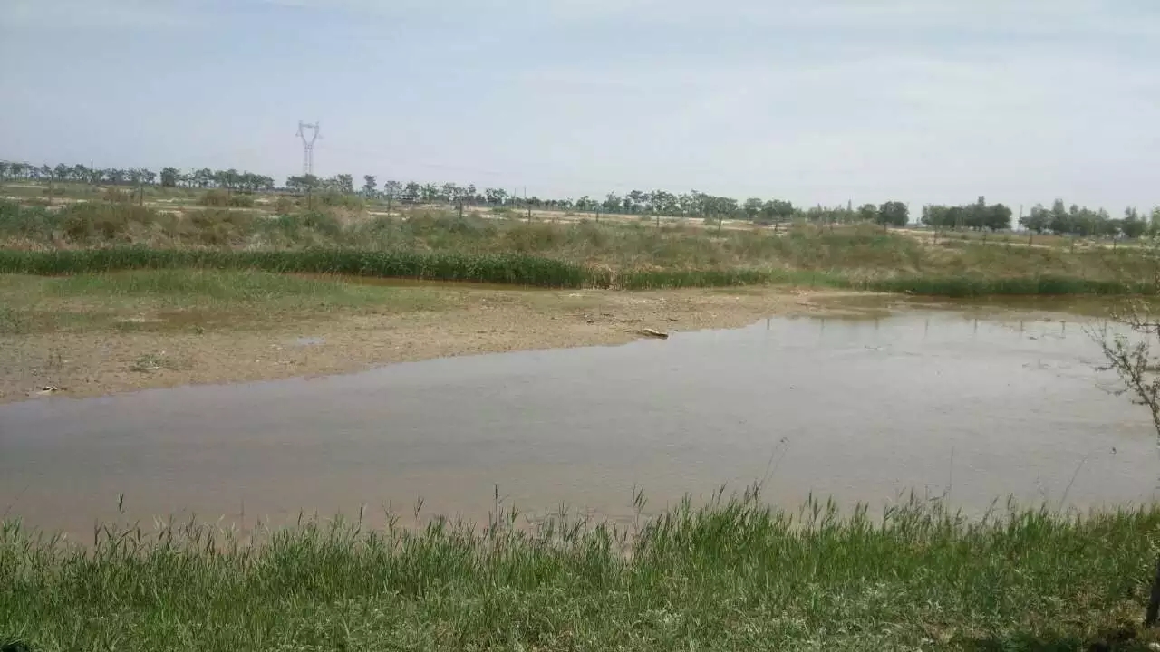 自驾宁夏中卫旅游攻略,石嘴山银川中卫自驾