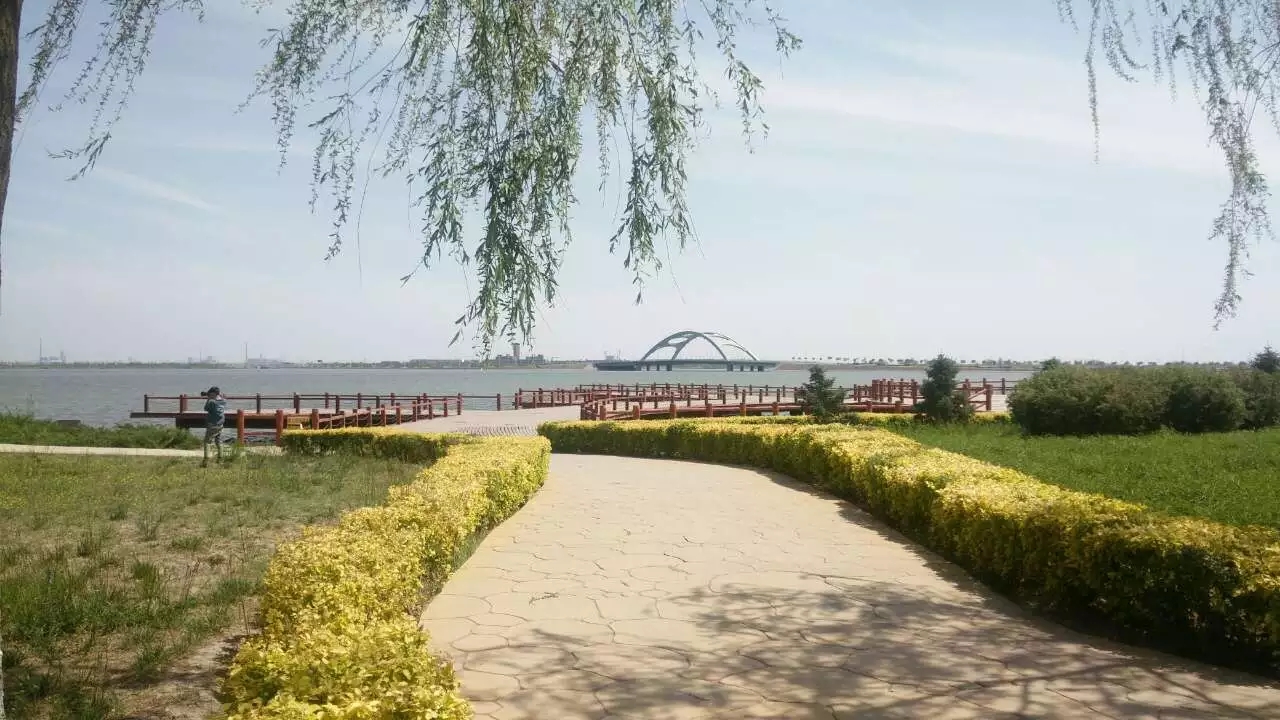 自驾宁夏中卫旅游攻略,石嘴山银川中卫自驾