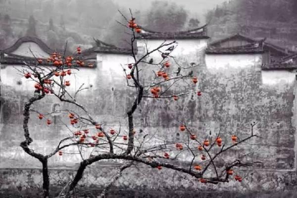 朝暮雨节春耕生，雨淅百花蓑鹭鳜，八首春雨诗词赏析，春雨唤醒…