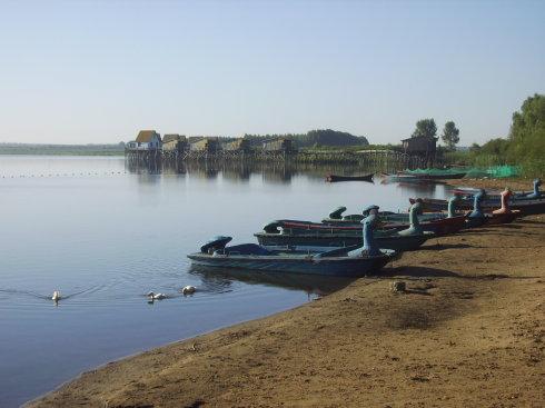 哈尔滨野狼湖，为东北最大的内陆平原湖，是野生狼栖息的天然场所