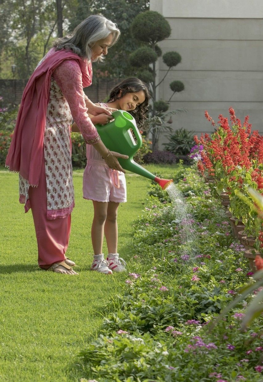 照顾植物的方法,最简单的自动浇水方法