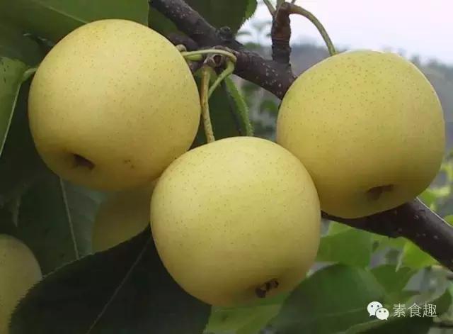 梨应该怎么卖,梨怎么卖的一块钱一斤