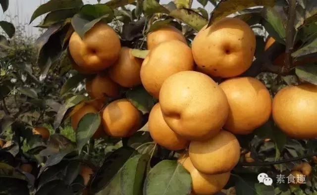 梨应该怎么卖,梨怎么卖的一块钱一斤