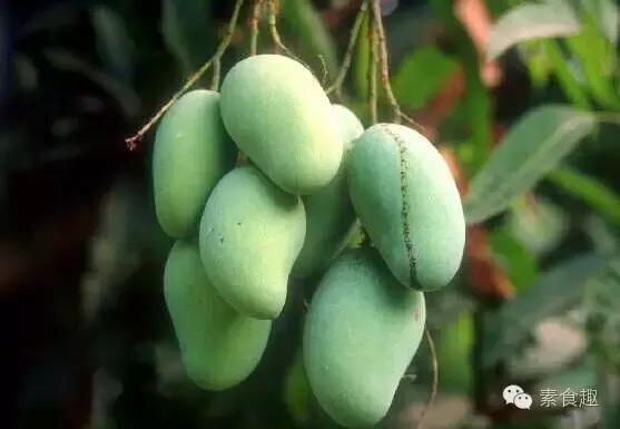 芒果哪里买便宜又正宗,芒果具体怎么选购的呢视频