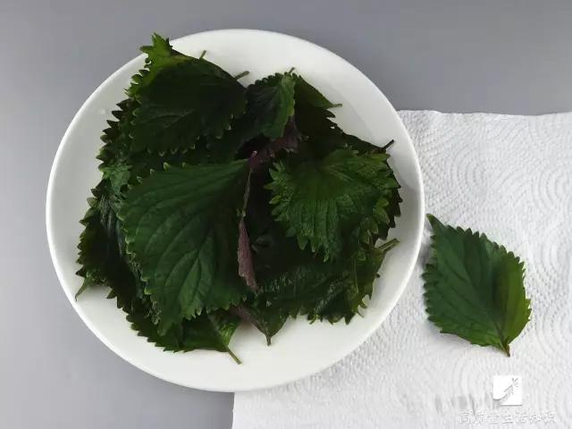 为什么饭店的油比外面的好吃,为啥饭店的酱油那么香