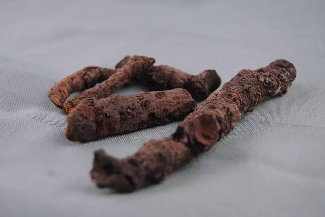 三七的内幕揭秘,三七的真实身份揭秘