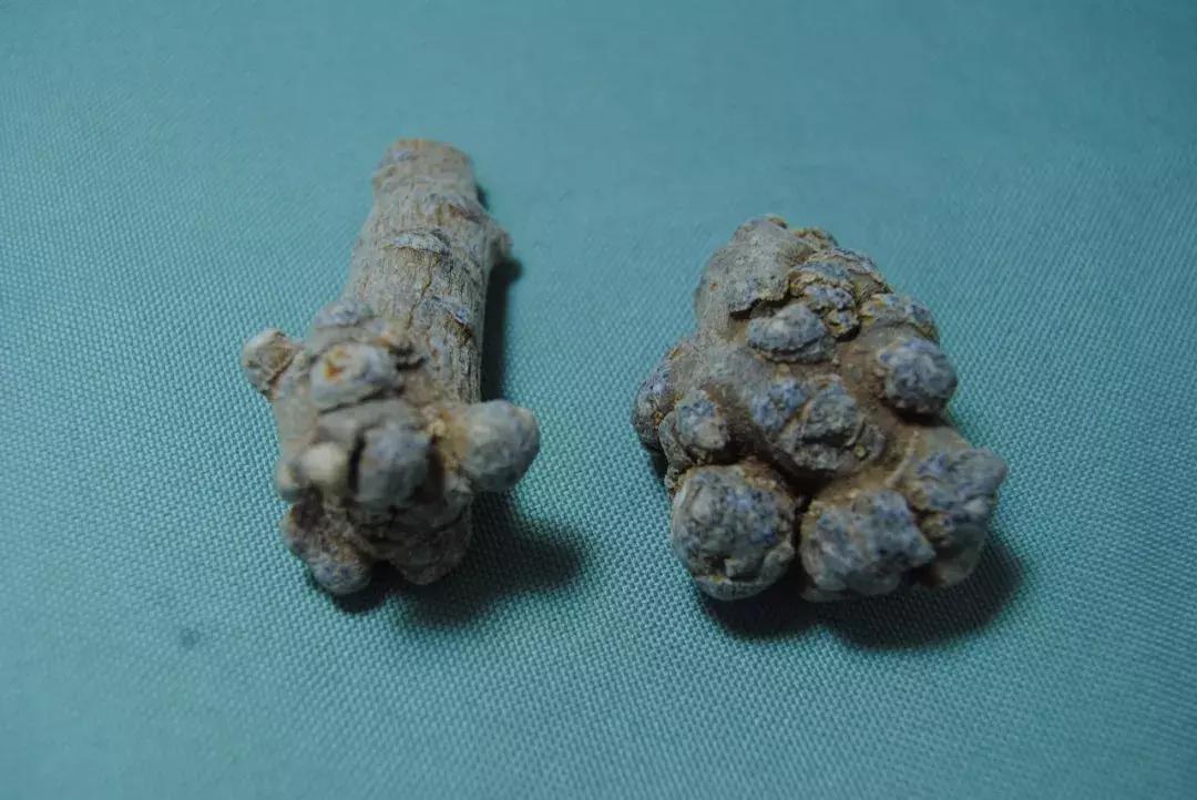 三七的内幕揭秘,三七的真实身份揭秘