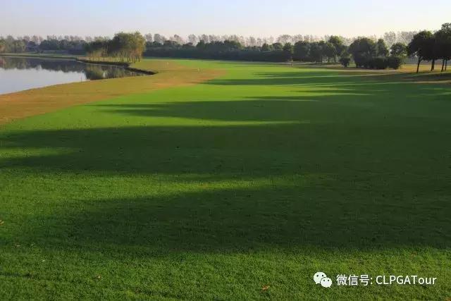 盛大汽车最新消息,盛大汽车视频