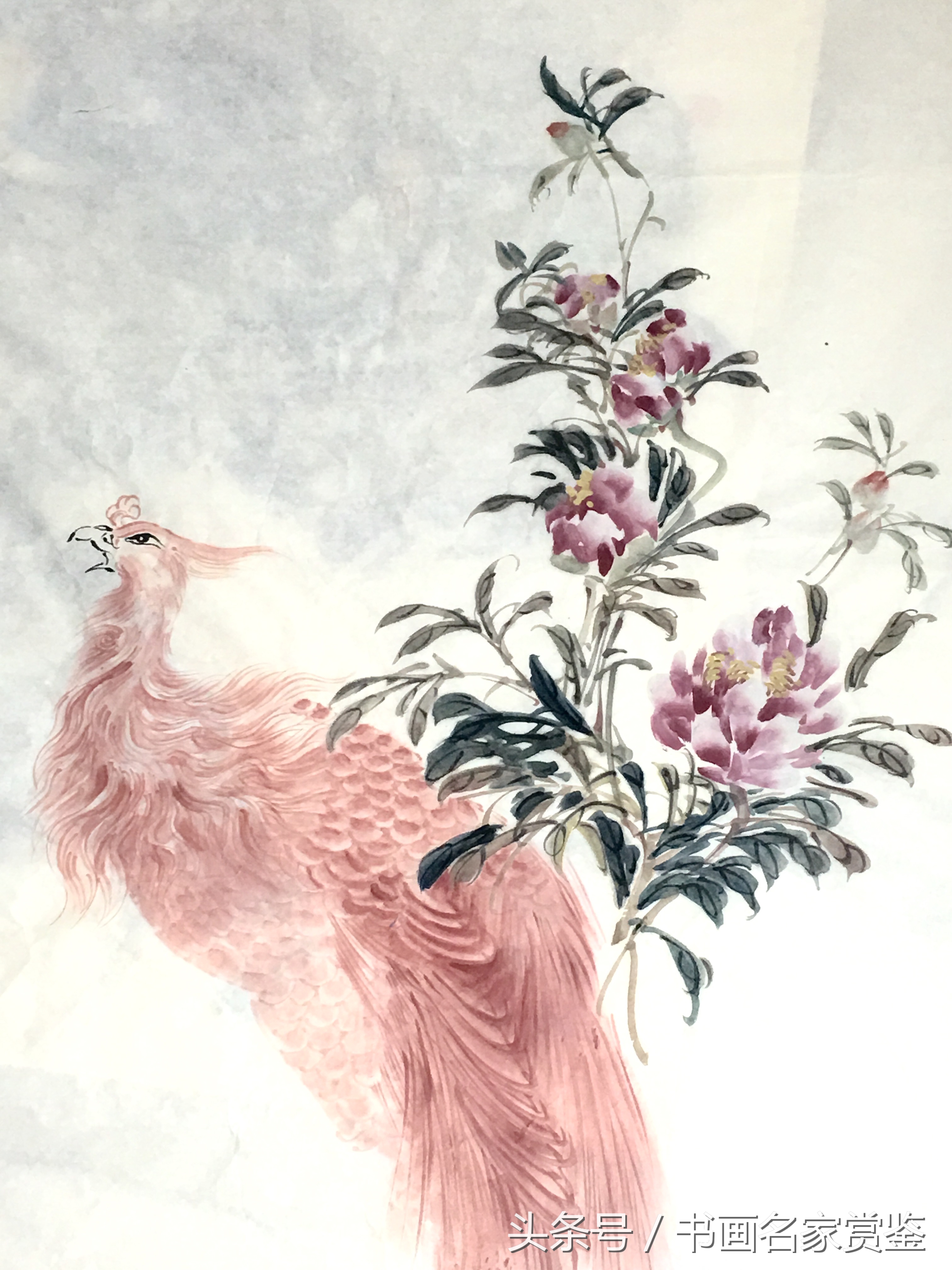中国名家画凤凰作品欣赏,画家晁谷先生作品高清