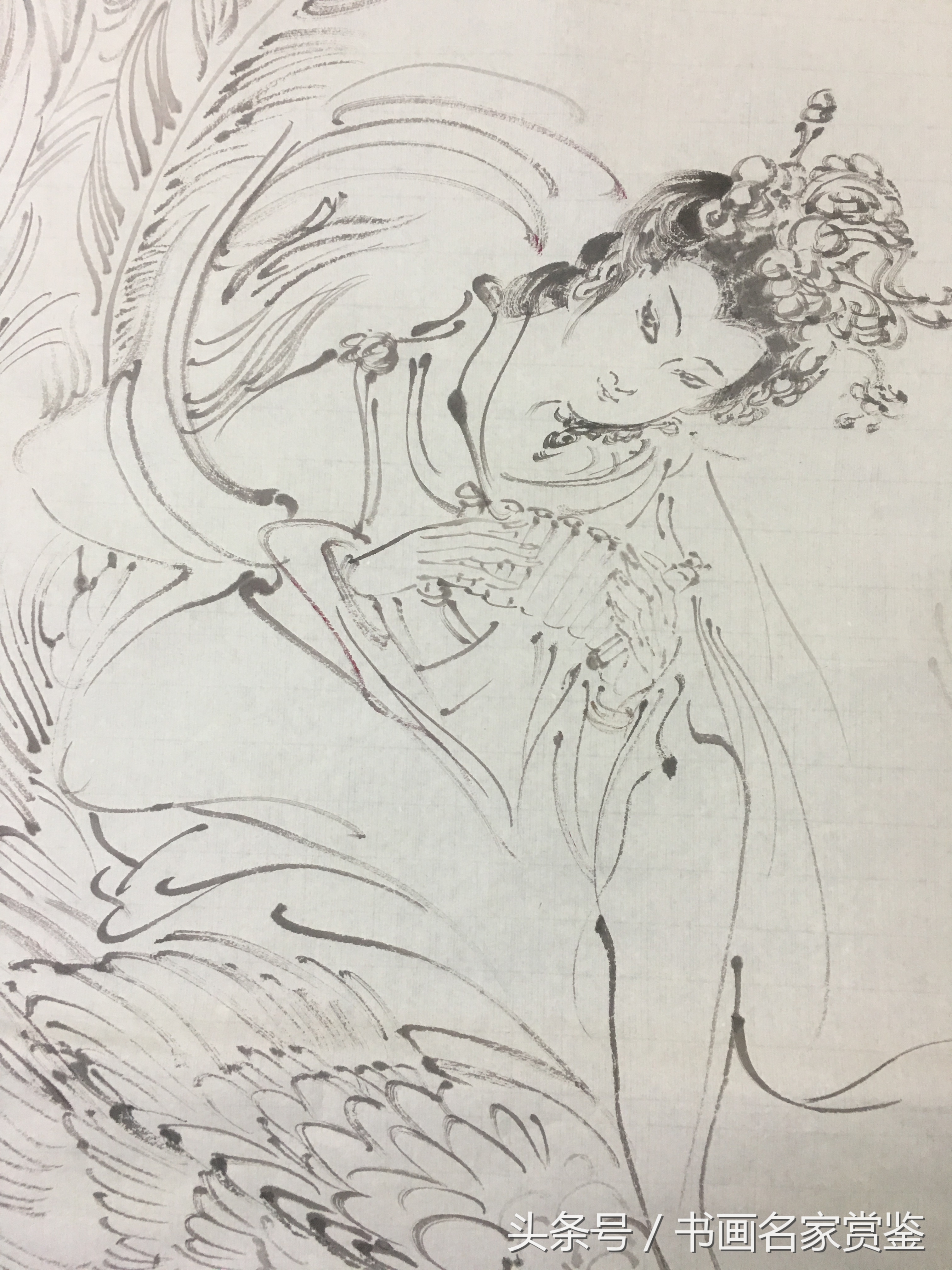 中国名家画凤凰作品欣赏,画家晁谷先生作品高清