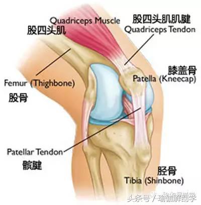 瑜伽英雄坐为何膝盖窝疼,练瑜伽鸽子式膝盖疼怎么办