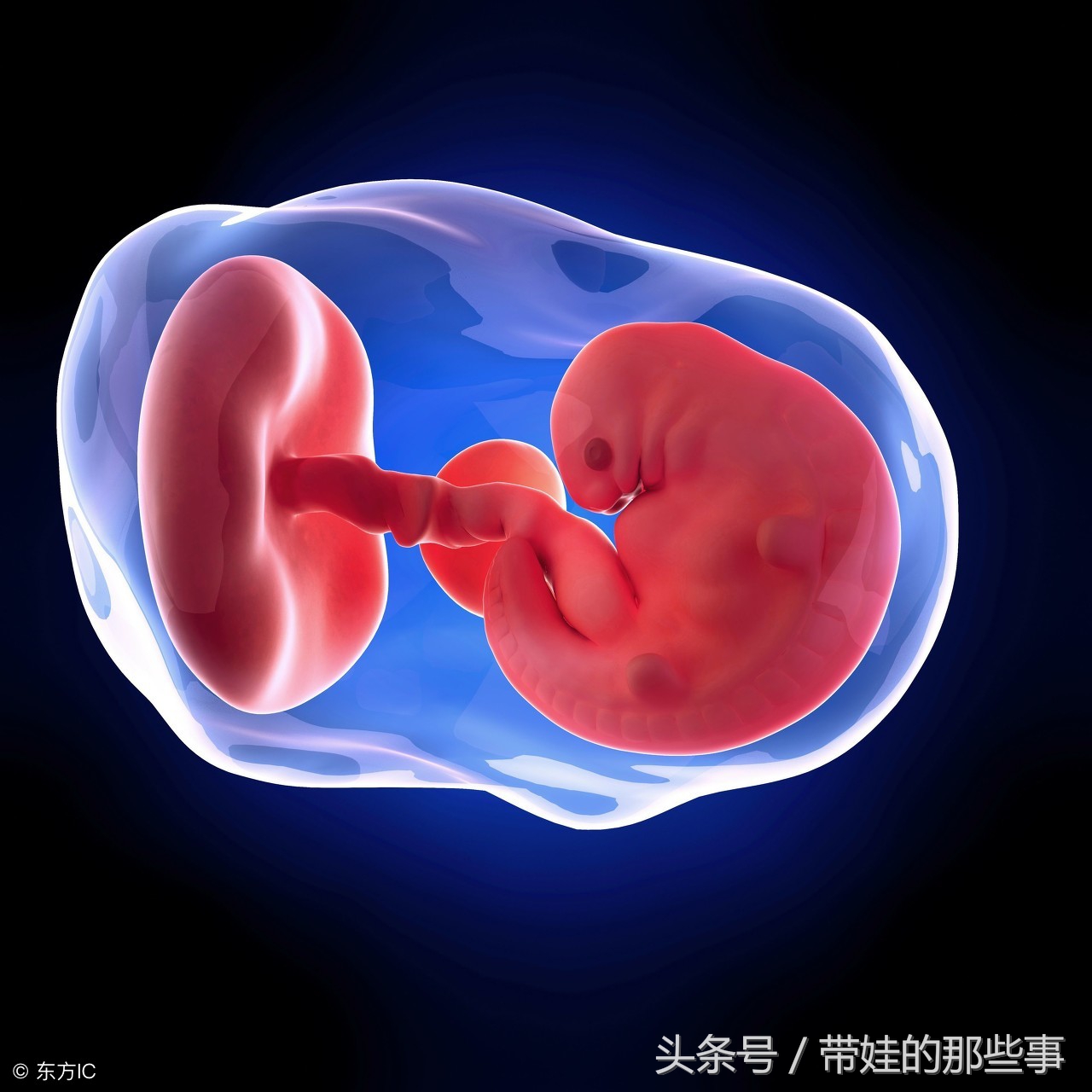 孕早期感冒致畸率多大,孕妇感冒了吃药对胎儿有什么害处