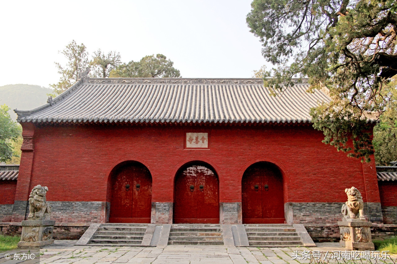 郑州旅游景点哪里性价比最高,郑州价格不贵的景区