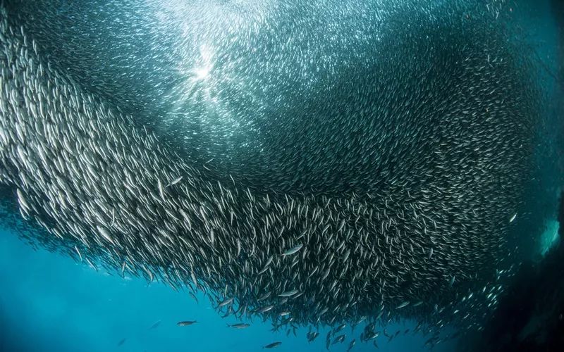 宿务岛有什么旅游景点,第1次旅游推荐去哪个名山