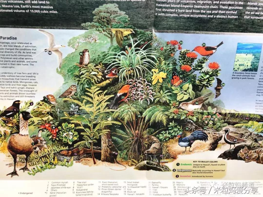 夏威夷怎么跨岛旅游的,夏威夷何时旅游最好