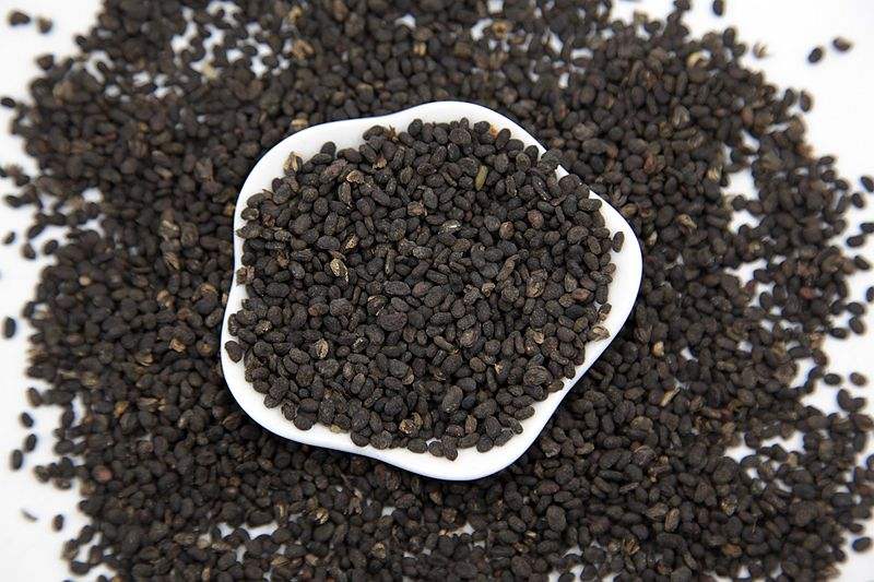 补血补气补肉补筋补骨中医,补骨脂加哪味中药不上火