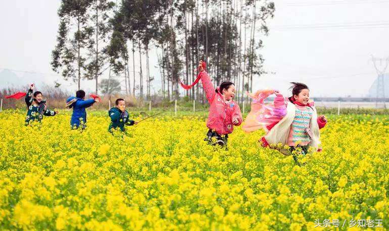 关于谷雨的农村谚语,农村有关谷雨的俗语你都听过吗