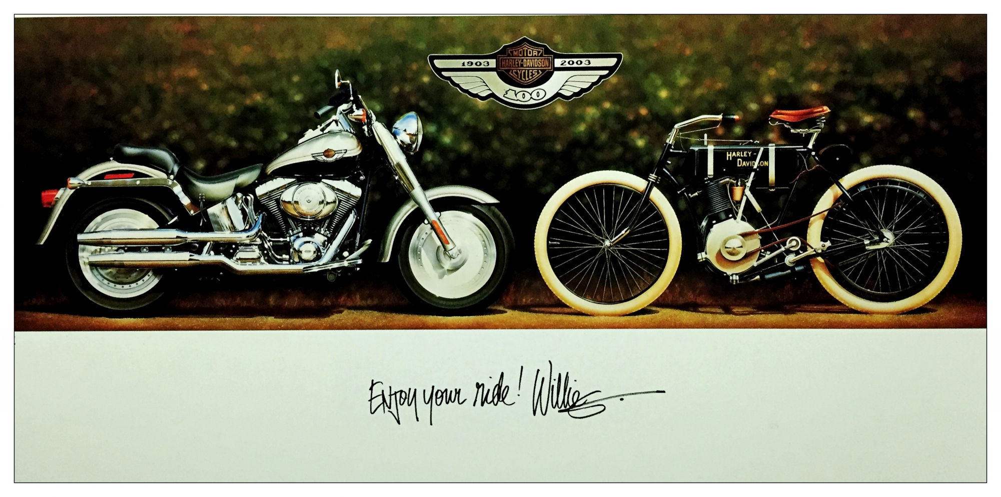 哈雷摩托的诞生之路,哈雷t800排量