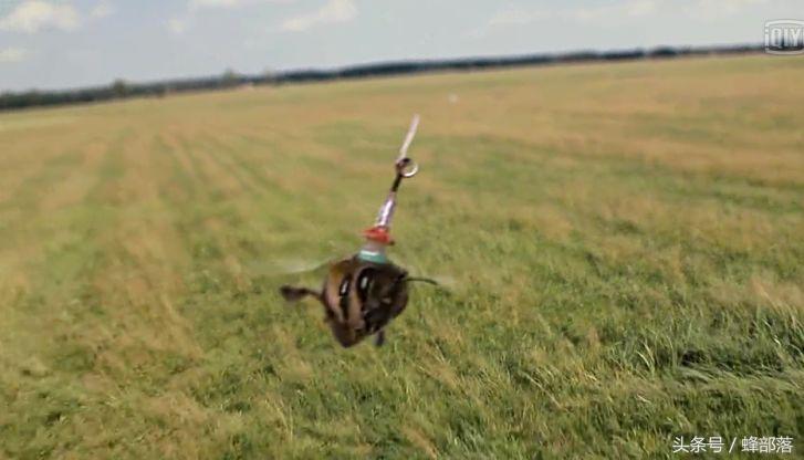 捕捉马蜂先进设备,最新捕蜂工具