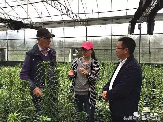 盐亭籍企业迈向国际｜卉菩园艺同荷兰客商签订1200万合作协议