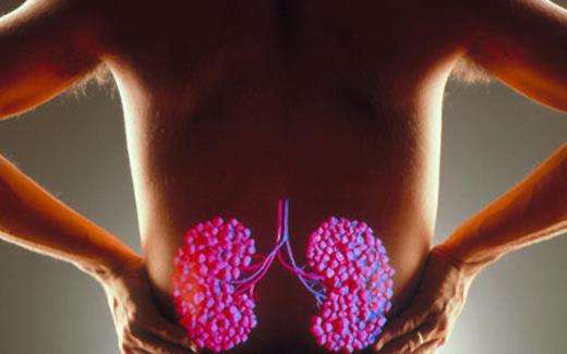 男人肾亏吃什么食物好补,男士肾亏吃什么食物好