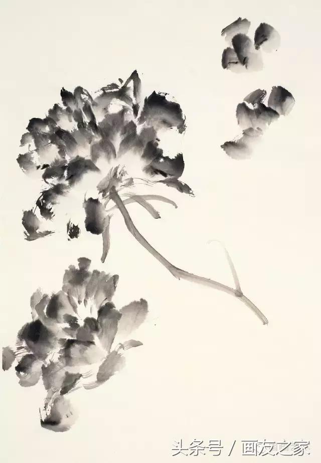 果果小写意牡丹画法教学视频,军旅画家张连龙写意牡丹画法