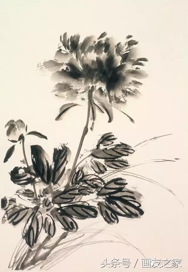 果果小写意牡丹画法教学视频,军旅画家张连龙写意牡丹画法