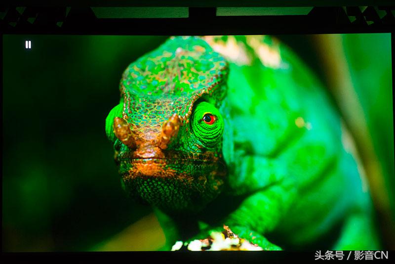 感受索尼VPL-VW2684K投影机优秀画质表现