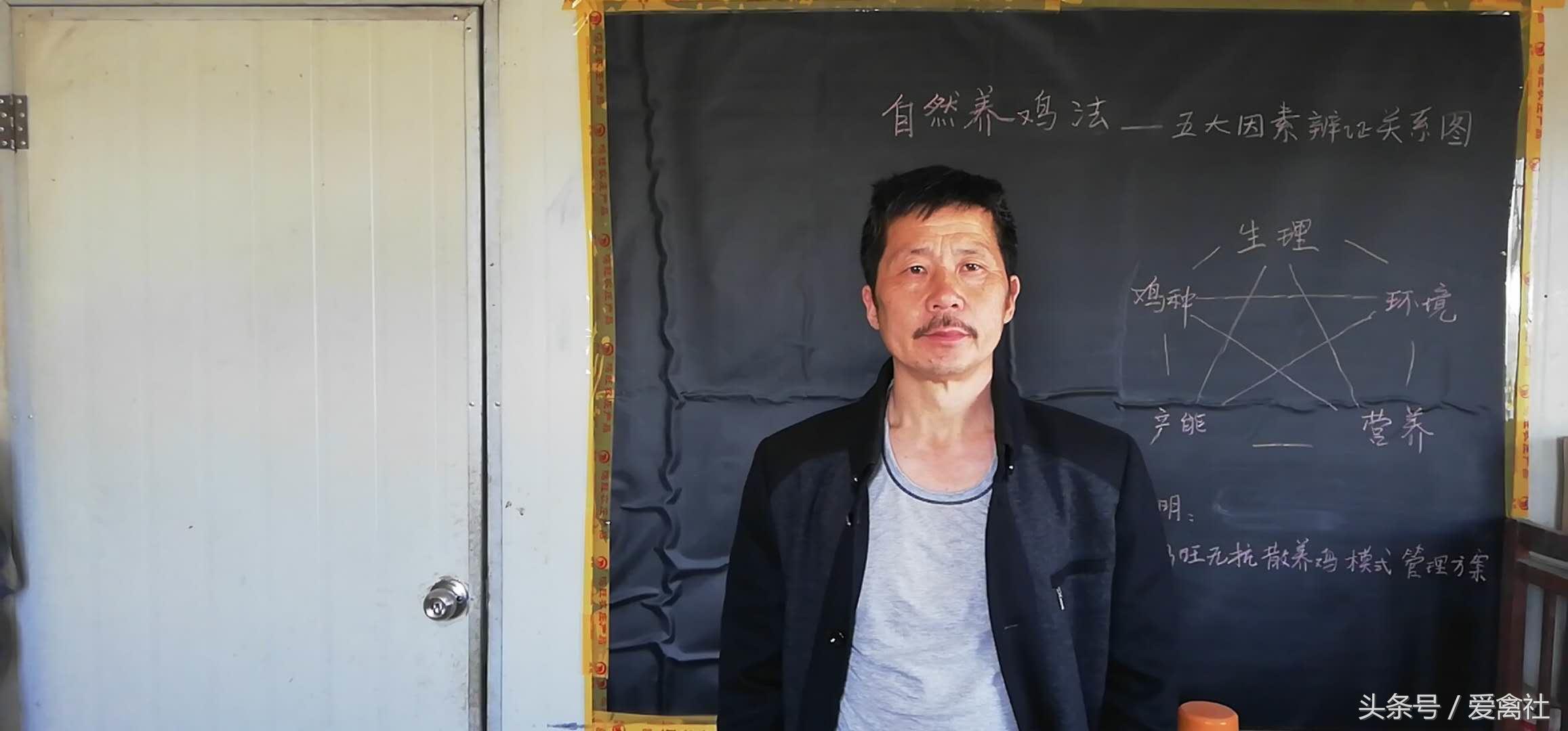 土鸡没有软骨,土鸡是如何养成的