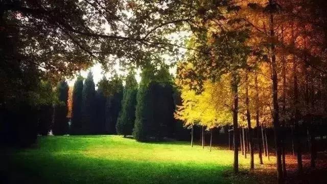 欧亚，你好！欧亚，再见！