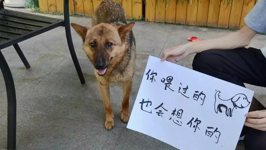 欧亚，你好！欧亚，再见！