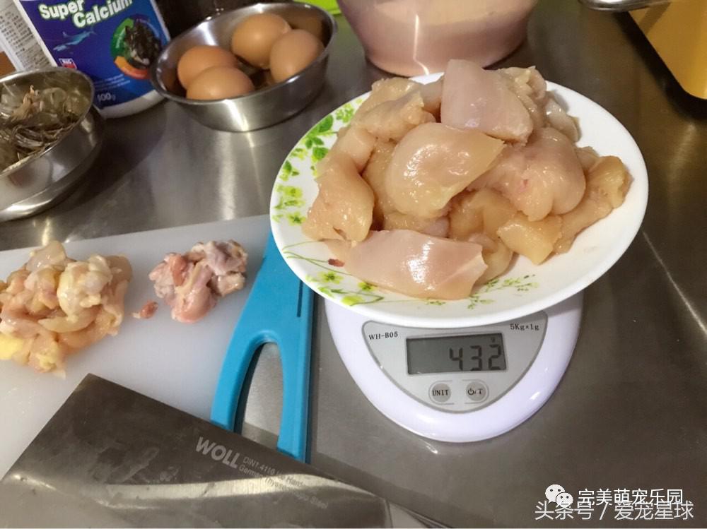 如何自制幼犬去泪痕狗粮视频教程,怎么给狗自制狗粮器