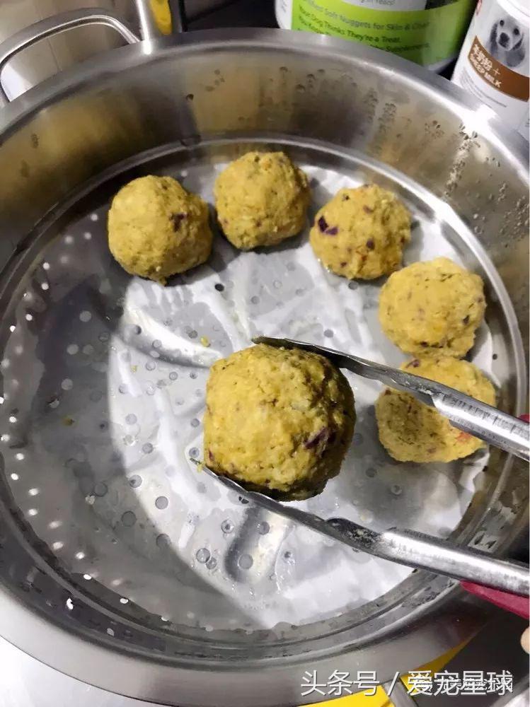 如何自制幼犬去泪痕狗粮视频教程,怎么给狗自制狗粮器