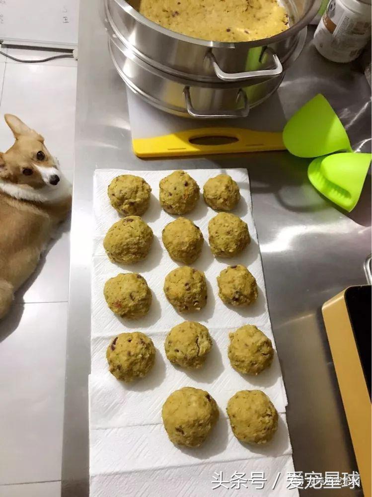 如何自制幼犬去泪痕狗粮视频教程,怎么给狗自制狗粮器