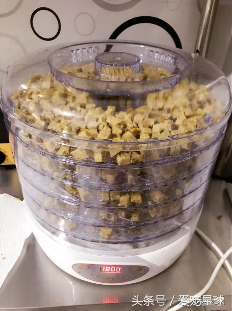 如何自制幼犬去泪痕狗粮视频教程,怎么给狗自制狗粮器