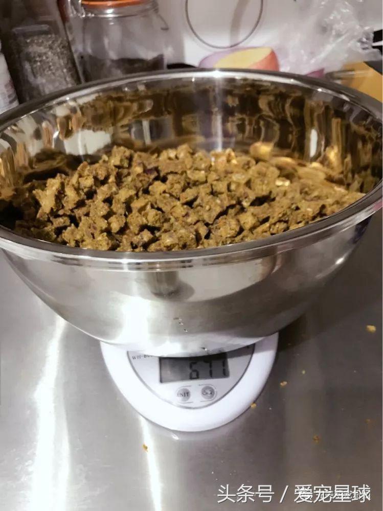 如何自制幼犬去泪痕狗粮视频教程,怎么给狗自制狗粮器