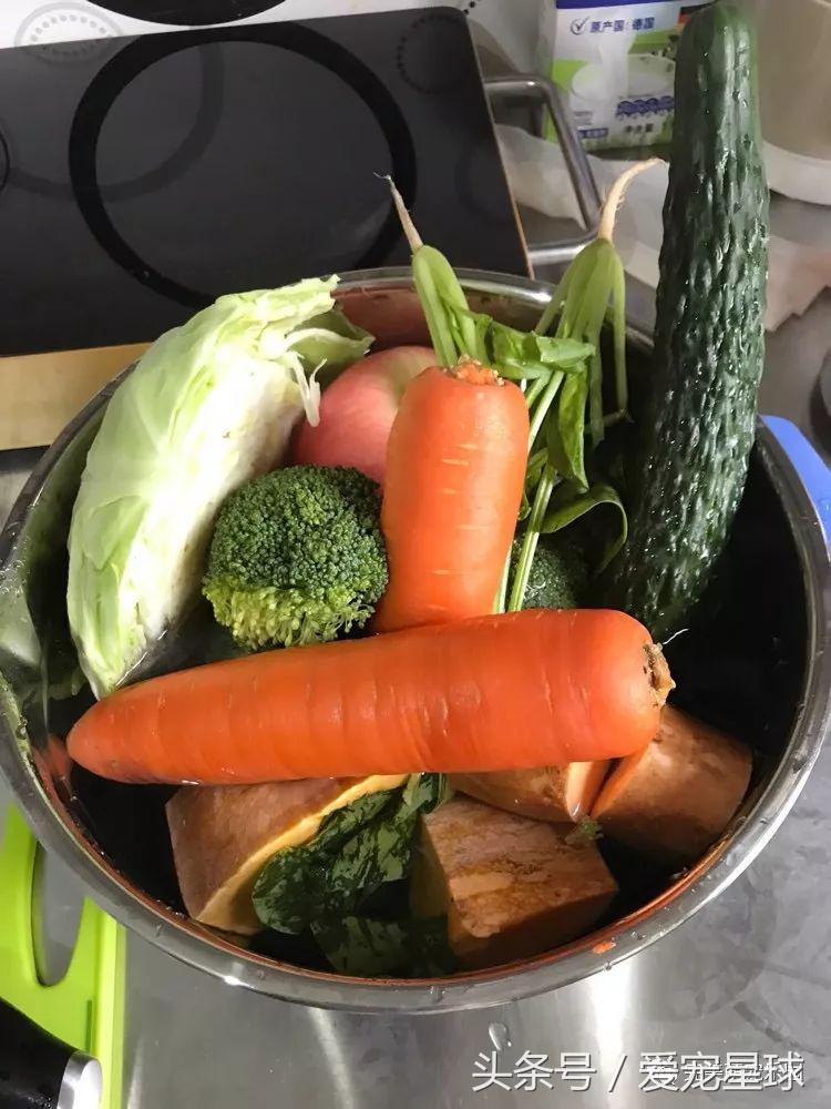 如何自制幼犬去泪痕狗粮视频教程,怎么给狗自制狗粮器