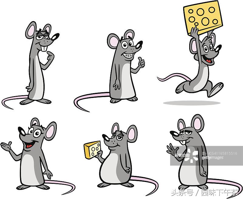 老鼠爬过的东西吃了会被感染吗,被老鼠爬过或者咬过的东西能吃吗