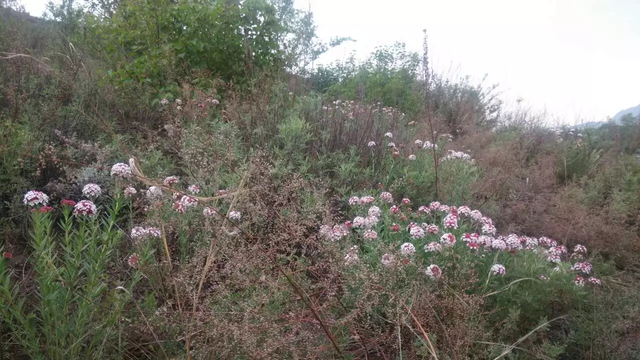 骑车旅行到了呼和浩特，认识一好友受到热情招待