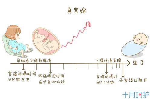 孕早期宝妈分享,孕晚期宫缩分享